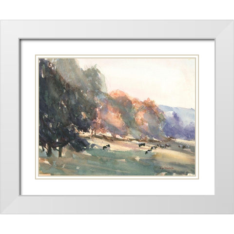 Sunlit Pasture II White Modern Wood Framed Art Print with Double Matting by Calcasola, Stephen