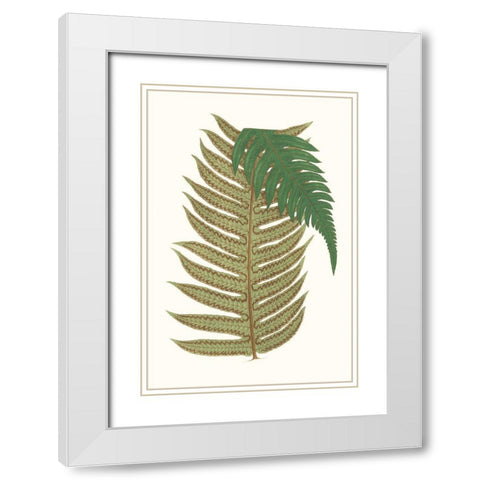 Collected Leaves II White Modern Wood Framed Art Print with Double Matting by Vision Studio