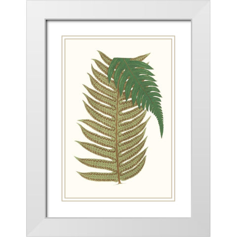 Collected Leaves II White Modern Wood Framed Art Print with Double Matting by Vision Studio