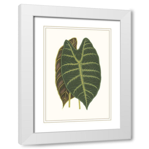 Collected Leaves V White Modern Wood Framed Art Print with Double Matting by Vision Studio