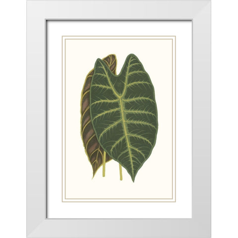 Collected Leaves V White Modern Wood Framed Art Print with Double Matting by Vision Studio