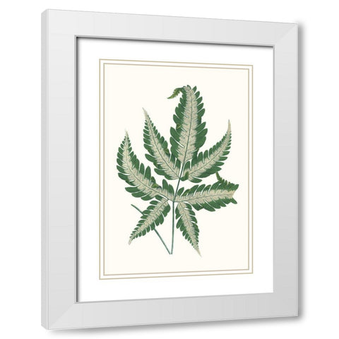 Collected Leaves VI White Modern Wood Framed Art Print with Double Matting by Vision Studio