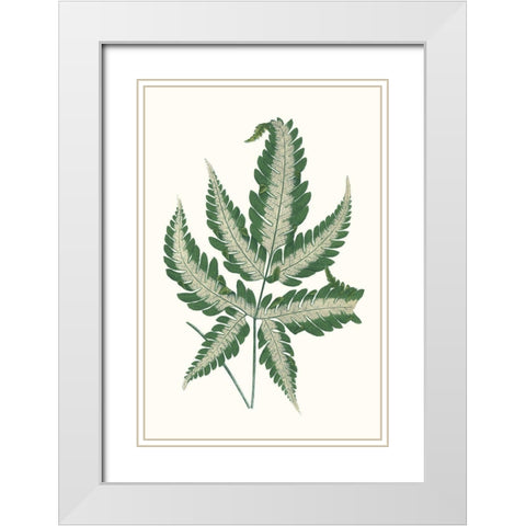 Collected Leaves VI White Modern Wood Framed Art Print with Double Matting by Vision Studio