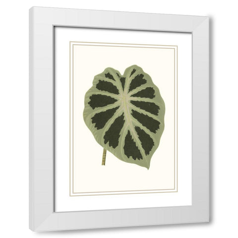 Collected Leaves VII White Modern Wood Framed Art Print with Double Matting by Vision Studio