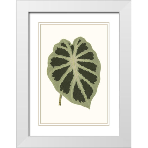 Collected Leaves VII White Modern Wood Framed Art Print with Double Matting by Vision Studio