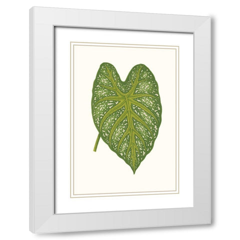 Collected Leaves IX White Modern Wood Framed Art Print with Double Matting by Vision Studio