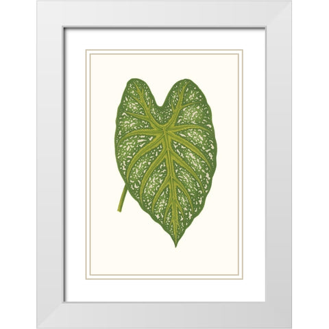 Collected Leaves IX White Modern Wood Framed Art Print with Double Matting by Vision Studio