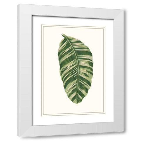 Collected Leaves XI White Modern Wood Framed Art Print with Double Matting by Vision Studio