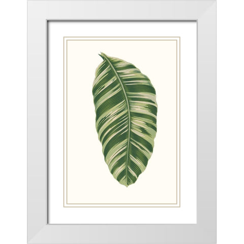 Collected Leaves XI White Modern Wood Framed Art Print with Double Matting by Vision Studio