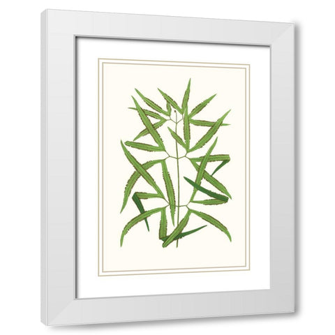 Collected Leaves XII White Modern Wood Framed Art Print with Double Matting by Vision Studio