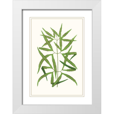 Collected Leaves XII White Modern Wood Framed Art Print with Double Matting by Vision Studio