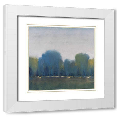 Special Place I White Modern Wood Framed Art Print with Double Matting by OToole, Tim