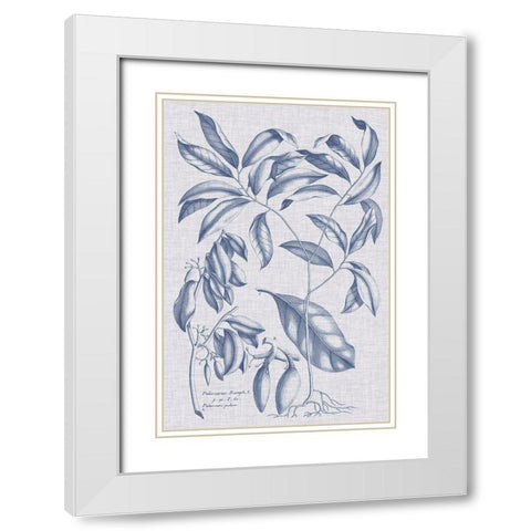 Navy And Linen Botanical I White Modern Wood Framed Art Print with Double Matting by Vision Studio