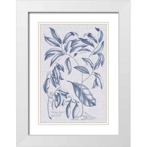 Navy And Linen Botanical I White Modern Wood Framed Art Print with Double Matting by Vision Studio
