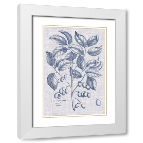 Navy And Linen Botanical II White Modern Wood Framed Art Print with Double Matting by Vision Studio