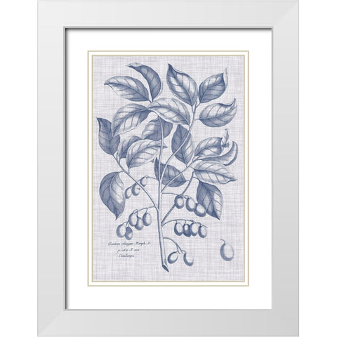 Navy And Linen Botanical II White Modern Wood Framed Art Print with Double Matting by Vision Studio