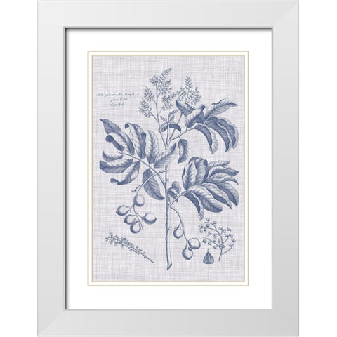 Navy And Linen Botanical IV White Modern Wood Framed Art Print with Double Matting by Vision Studio