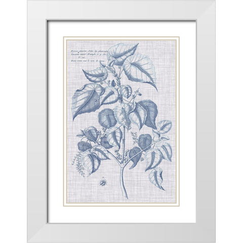 Navy And Linen Botanical VI White Modern Wood Framed Art Print with Double Matting by Vision Studio