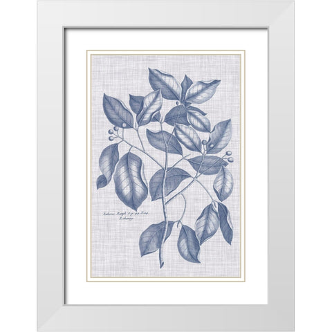 Navy And Linen Botanical VII White Modern Wood Framed Art Print with Double Matting by Vision Studio