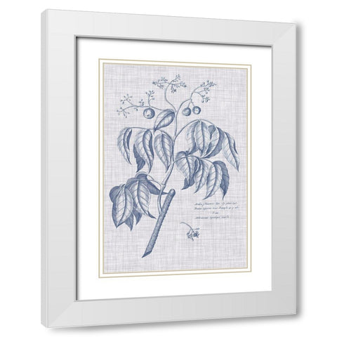 Navy And Linen Botanical IX White Modern Wood Framed Art Print with Double Matting by Vision Studio