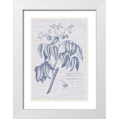 Navy And Linen Botanical IX White Modern Wood Framed Art Print with Double Matting by Vision Studio