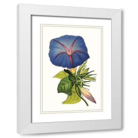 Paxton Florals I White Modern Wood Framed Art Print with Double Matting by Paxton