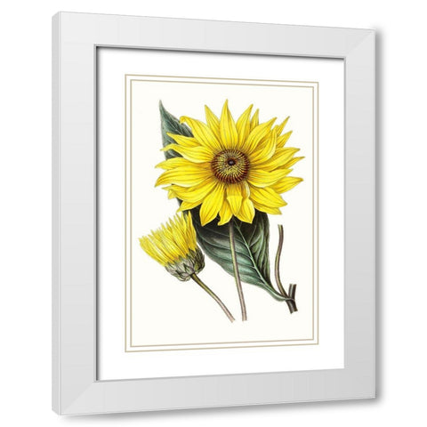 Paxton Florals II White Modern Wood Framed Art Print with Double Matting by Paxton
