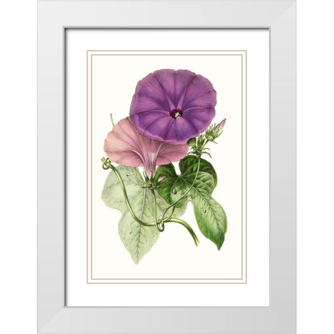 Paxton Florals III White Modern Wood Framed Art Print with Double Matting by Paxton