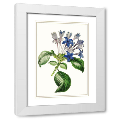 Paxton Florals IV White Modern Wood Framed Art Print with Double Matting by Paxton