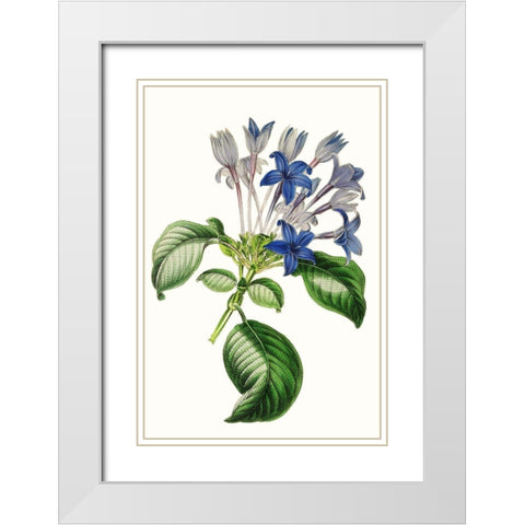 Paxton Florals IV White Modern Wood Framed Art Print with Double Matting by Paxton