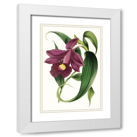 Paxton Florals V White Modern Wood Framed Art Print with Double Matting by Paxton