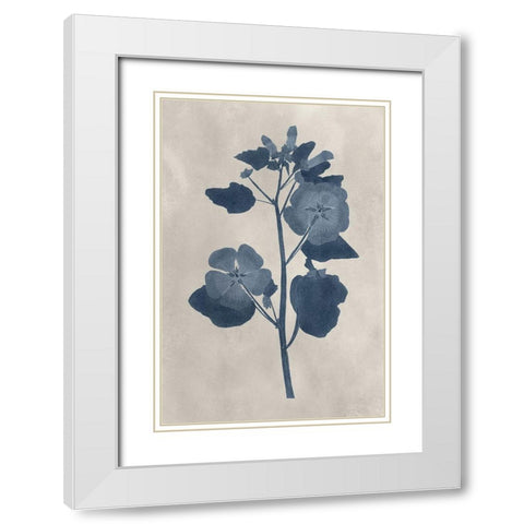 Navy Pressed Flowers V White Modern Wood Framed Art Print with Double Matting by Vision Studio