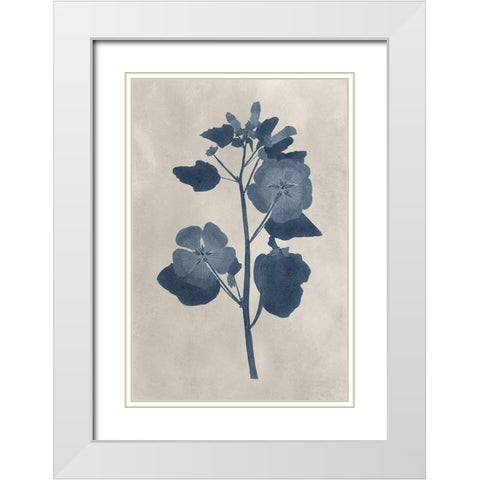 Navy Pressed Flowers V White Modern Wood Framed Art Print with Double Matting by Vision Studio