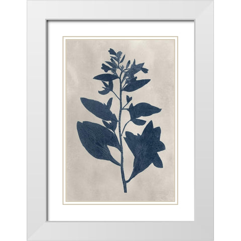 Navy Pressed Flowers VI White Modern Wood Framed Art Print with Double Matting by Vision Studio