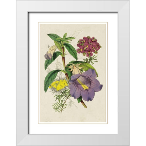 Paxton Botanical Pairing I White Modern Wood Framed Art Print with Double Matting by Paxton