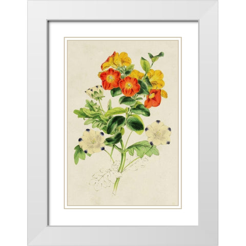 Paxton Botanical Pairing II White Modern Wood Framed Art Print with Double Matting by Paxton