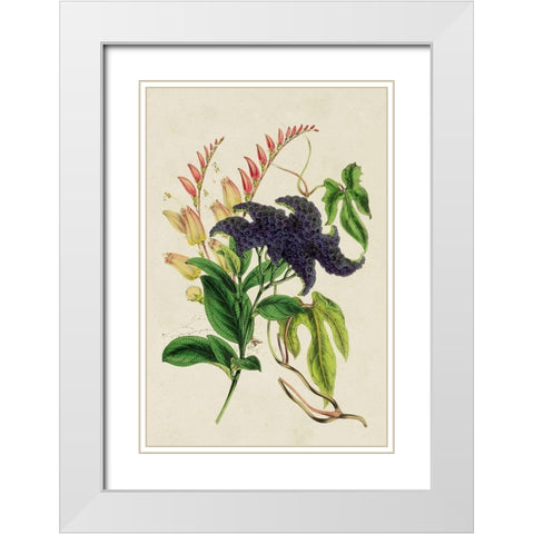 Paxton Botanical Pairing IV White Modern Wood Framed Art Print with Double Matting by Paxton
