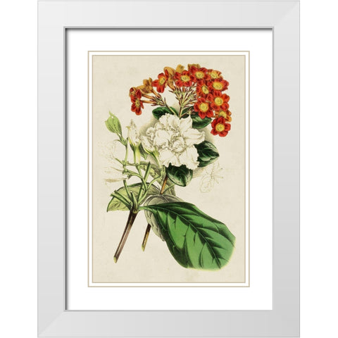 Paxton Botanical Pairing V White Modern Wood Framed Art Print with Double Matting by Paxton