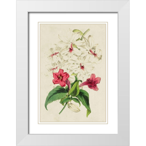 Paxton Botanical Pairing VI White Modern Wood Framed Art Print with Double Matting by Paxton