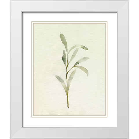Olive Leaves I White Modern Wood Framed Art Print with Double Matting by Caroline, Emma