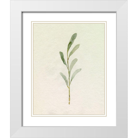 Olive Leaves II White Modern Wood Framed Art Print with Double Matting by Caroline, Emma