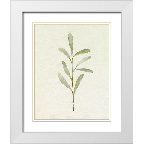 Olive Leaves III White Modern Wood Framed Art Print with Double Matting by Caroline, Emma