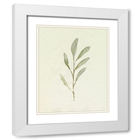 Olive Leaves IV White Modern Wood Framed Art Print with Double Matting by Caroline, Emma