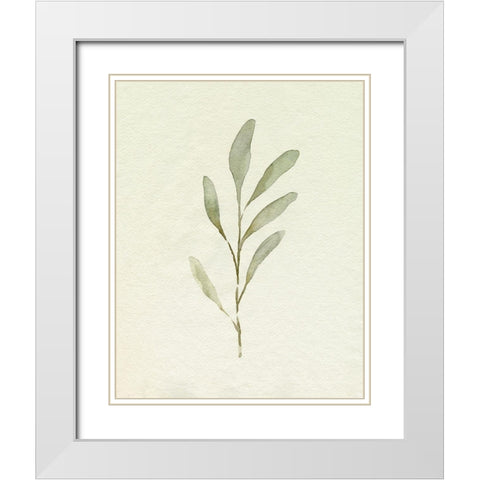 Olive Leaves IV White Modern Wood Framed Art Print with Double Matting by Caroline, Emma