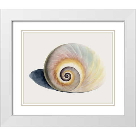 Spiraling I White Modern Wood Framed Art Print with Double Matting by Popp, Grace