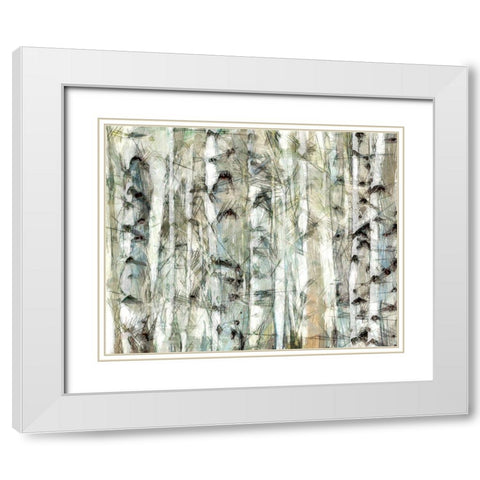 Birch Bunch I White Modern Wood Framed Art Print with Double Matting by Saunders, Alonzo