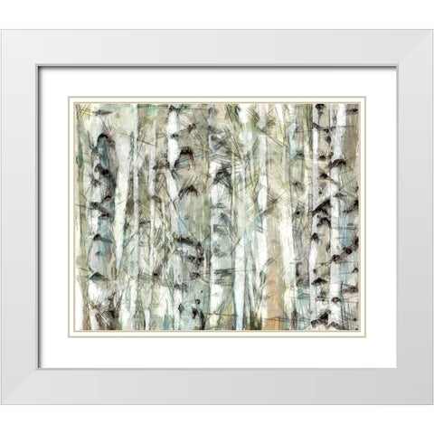Birch Bunch I White Modern Wood Framed Art Print with Double Matting by Saunders, Alonzo