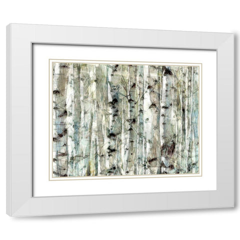 Birch Bunch II White Modern Wood Framed Art Print with Double Matting by Saunders, Alonzo