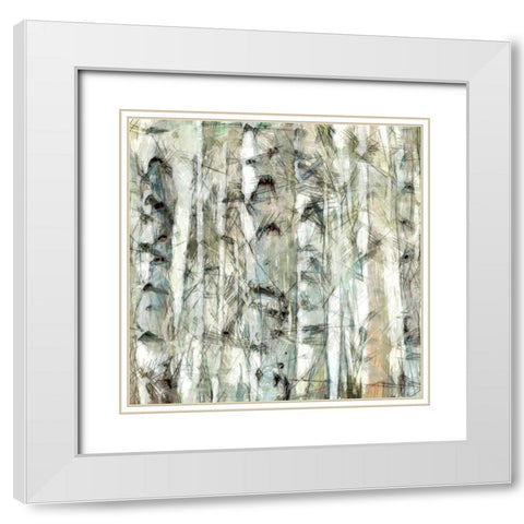 Birch Bunch III White Modern Wood Framed Art Print with Double Matting by Saunders, Alonzo