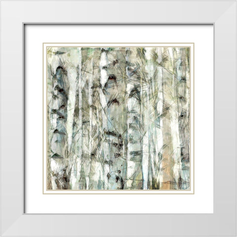 Birch Bunch III White Modern Wood Framed Art Print with Double Matting by Saunders, Alonzo